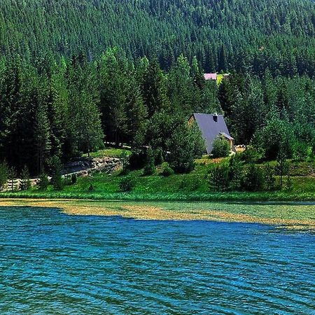 Zminica Lake House Žabljak Εξωτερικό φωτογραφία