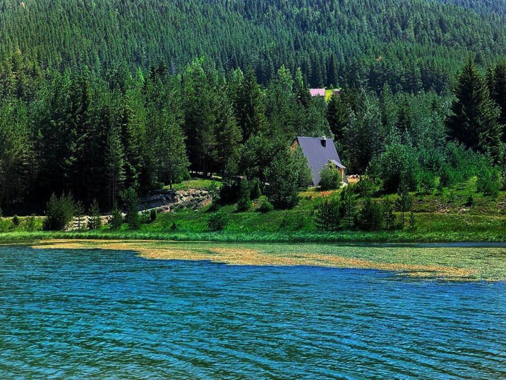Zminica Lake House Žabljak Εξωτερικό φωτογραφία