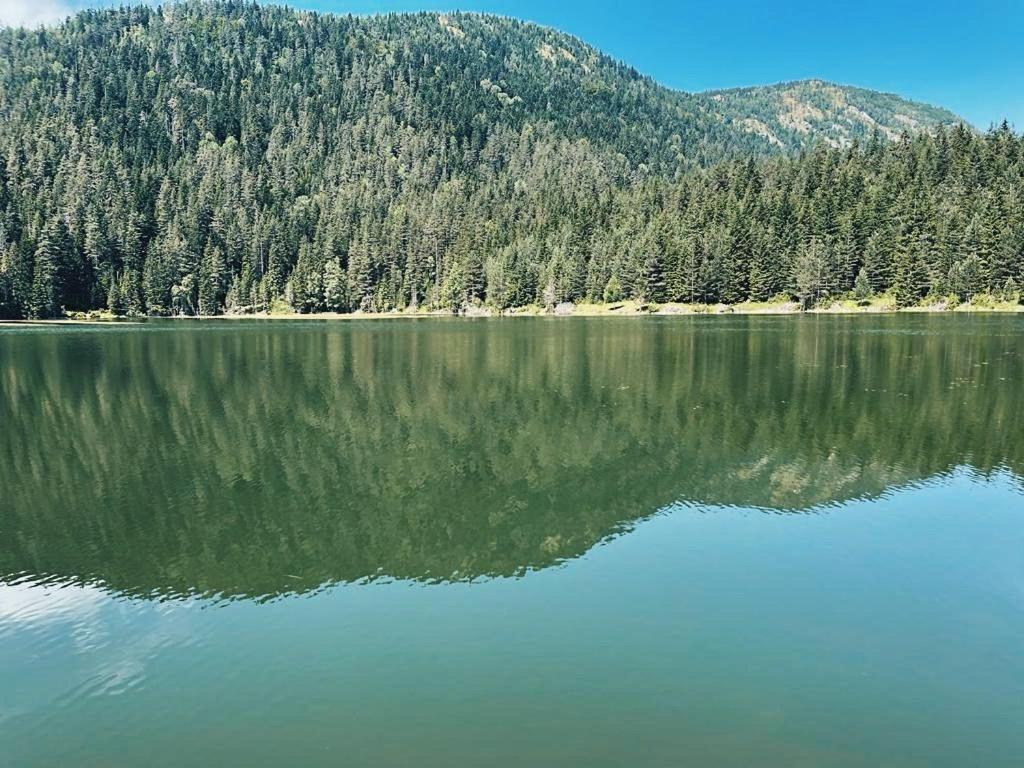 Zminica Lake House Žabljak Εξωτερικό φωτογραφία