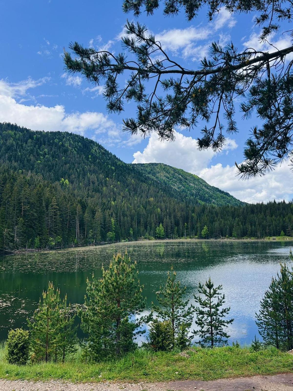 Zminica Lake House Žabljak Εξωτερικό φωτογραφία